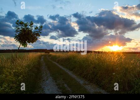 Abendliche Landschaft Wiese Sonnenuntergang im Harz Stockfoto