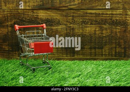 Mini Trolley Einkaufswagen auf hölzernem und grünem Grashintergrund Stockfoto