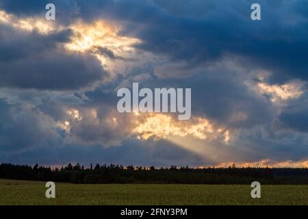 Abendliche Landschaft Wiese Sonnenuntergang im Harz Stockfoto