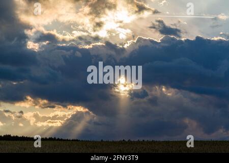 Abendliche Landschaft Wiese Sonnenuntergang im Harz Stockfoto