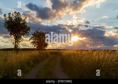 Abendliche Landschaft Wiese Sonnenuntergang im Harz Stockfoto