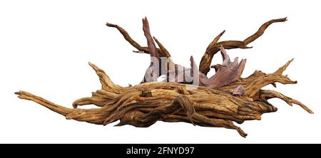 driftwood, Haufen alter Äste isoliert auf weißem Hintergrund (3d-Rendering) Stockfoto