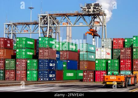 Im ECT-Terminal im Hafen von Rotterdam werden die Container bewegt. Niederlande - 8. September 2012 Stockfoto