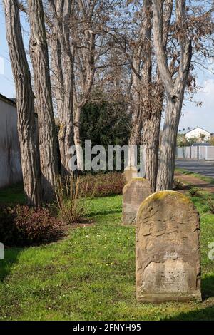 Erftstadt, Ortsteil Lechenich, Alter jüdischer Friedhof mit Grabsteinen Stockfoto