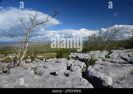 Wunderschöne britische Karbonbon Kalksteinpflaster Landschaft im schönen Frühling sunlite. Stockfoto