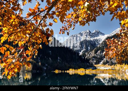 Berglandschaft von Herbstwald mit gelben Bäumen und Schnee Weißer Gipfel mit Spiegelung am Issyk-See in Kasachstan Stockfoto