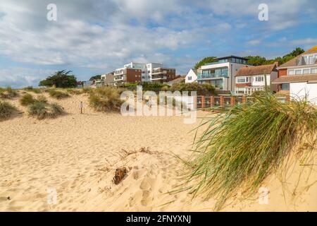 Blick auf das Anwesen mit Blick auf Sandbanks Beach in Poole Bay, Poole, Dorset, England, Vereinigtes Königreich, Europa Stockfoto