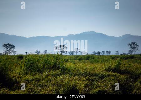 Landschaft des Kaziranga-Nationalparks, Assam, Indien Stockfoto