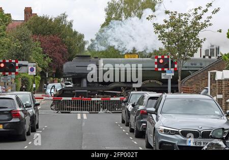 Der Flying Scotsman des National Railway Museum passiert einen Bahnübergang in Chiswick, West-London, auf seiner ersten Hauptlinienfahrt mit Passagieren seit 2019 im Rahmen der Sommerzugserie der Steam Dreams Rail Company vom Londoner Bahnhof Victoria Station. Bilddatum: Donnerstag, 20. Mai 2021. Stockfoto