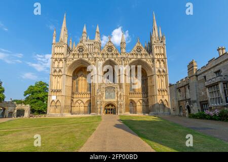 Blick auf die gotische Fassade der Peterborough Cathedral vom Dean's Court, Peterborough, Northamptonshire, England, Großbritannien, Europa Stockfoto