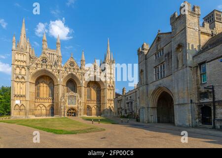 Blick auf die gotische Fassade der Peterborough Cathedral vom Dean's Court, Peterborough, Northamptonshire, England, Großbritannien, Europa Stockfoto