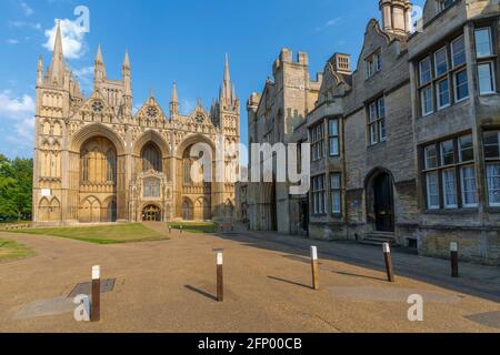 Blick auf die gotische Fassade der Peterborough Cathedral vom Dean's Court, Peterborough, Northamptonshire, England, Großbritannien, Europa Stockfoto