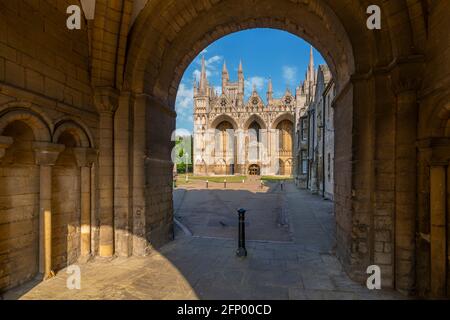 Blick auf die gotische Fassade der Peterborough Cathedral vom Dean's Court, Peterborough, Northamptonshire, England, Großbritannien, Europa Stockfoto