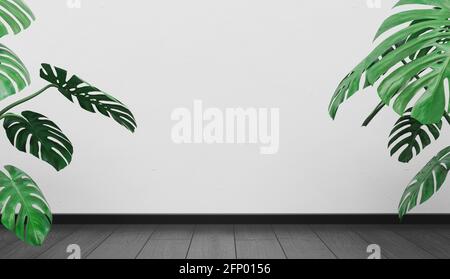 Leerer Wandhintergrund mit Holzboden und Monstera-Pflanzen an den Seiten mit Platz für Design. 3d-Rendering Stockfoto