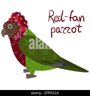 Rotfan-Papagei, auch bekannt als Falkenpapagei im Cartoon-Stil auf weißem Hintergrund. Vektorgrafik handgezeichnete Illustration. Deroptyus accipitrinus Stock Vektor