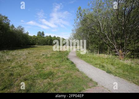 Newshot Island Local Nature Reserve, Erskine, Renfrewshire, Schottland, Großbritannien Stockfoto