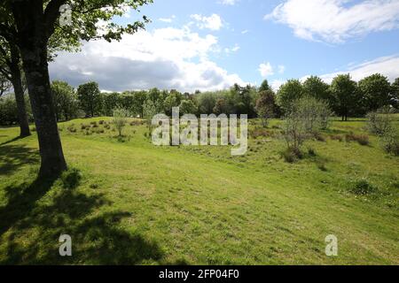 Newshot Island Local Nature Reserve, Erskine, Renfrewshire, Schottland, Großbritannien Stockfoto