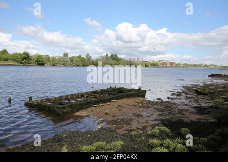 Newshot Island Local Nature Reserve, Erskine, Renfrewshire, Schottland, Großbritannien. Überreste eines versunkenen Bootes auf dem Fluss Clyde Stockfoto