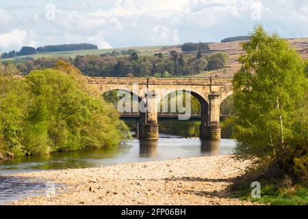 Das alte Steinbahnviadukt bei Haltwhistle, das den Fluss South Tyne in Northumberland, England, Großbritannien überquert Stockfoto