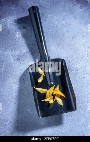 Kehrschaufel und Blätter. Stockfoto