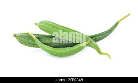 Luffa acutangula auf weißem Hintergrund Stockfoto