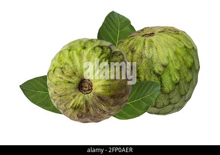 Cherimoya Obst auf weißem Hintergrund Stockfoto