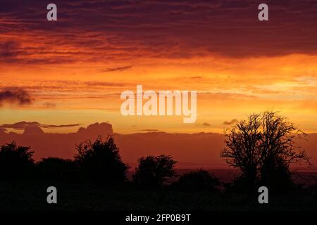 Sonnenuntergang Über Burrington Ham, Mendip Hills, Somerset Stockfoto