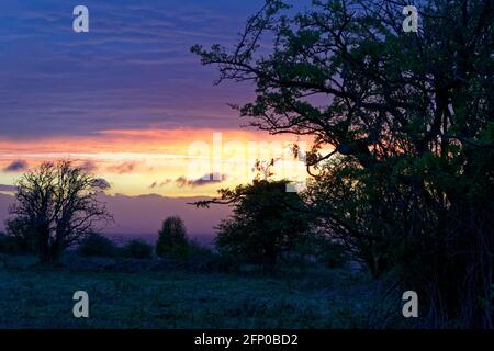 Sonnenuntergang Über Burrington Ham, Mendip Hills, Somerset Stockfoto