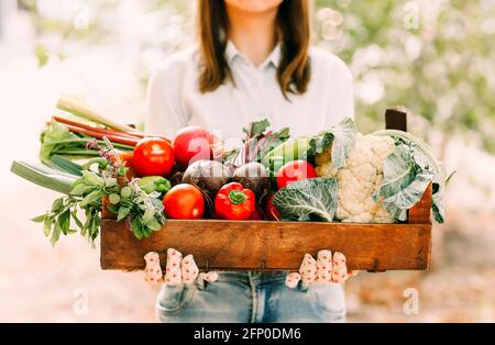 Nicht erkennbare Frau in Handschuhen, die eine Holzkiste mit verschiedenen Gemüsesorten vorführt Während der Arbeit auf dem Bauernhof Stockfoto