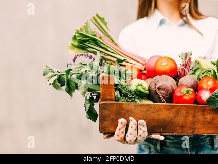 Nicht erkennbare Frau in Handschuhen, die eine Holzkiste mit verschiedenen Gemüsesorten vorführt Während der Arbeit auf dem Bauernhof Stockfoto