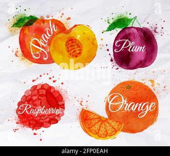 Obst-Set gezeichnet Aquarell Flecken und Flecken mit einem Spray Pfirsich, Himbeere, Pflaume, Orange Stock Vektor