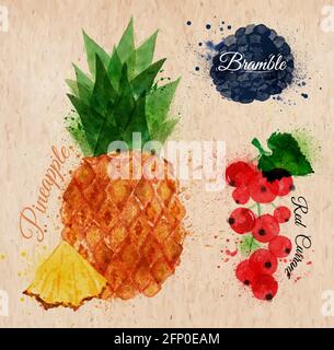 Obst-Set gezeichnet Aquarell Flecken und Flecken mit einem Spray Ananas, Bramble, rote Johannisbeere in Kraft Stock Vektor