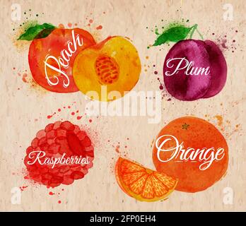 Frucht Set gezeichnet Aquarell Flecken und Flecken mit einem Spray Pfirsich, Himbeere, Pflaume, Orange in Kraft Stock Vektor