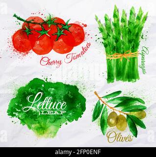 Gemüse Set gezeichnet Aquarell Flecken und Flecken mit einem Spray Salat, Kirschtomaten, Spargel, Oliven Stock Vektor