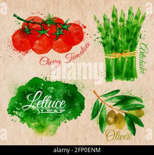 Gemüse Set gezeichnet Aquarell Flecken und Flecken mit einem Spray Salat, Kirschtomaten, Spargel, Oliven auf Kraftpapier Stock Vektor