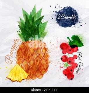 Obst-Set gezeichnet Aquarell Flecken und Flecken mit einem Spray Ananas, Bramble, rote Johannisbeere Stock Vektor