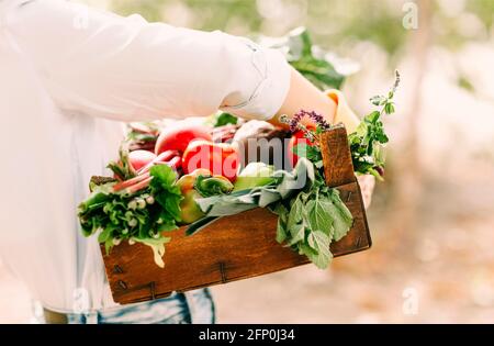 Nicht erkennbare Frau in Handschuhen, die eine Holzkiste mit verschiedenen Gemüsesorten vorführt Während der Arbeit auf dem Bauernhof Stockfoto