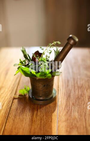 Hoher Winkel von frischen Kräutern und Stößel in Bronze platziert Mörtel auf dem Tisch isoliert Stockfoto