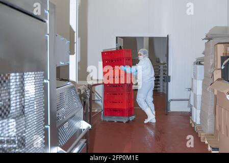 Fabrik für die Produktion von Lebensmitteln aus Fleisch.Industrielle Ausrüstung in einer Fleischfabrik.Arbeiter bewegt Kisten mit Waren in einer Fabrik. Stockfoto