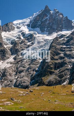 La Meije (3984 m) im Nationalpark Ecrins, Hautes-Alpes (05), Provence-Alpes-Cote d'Azur, Frankreich Stockfoto