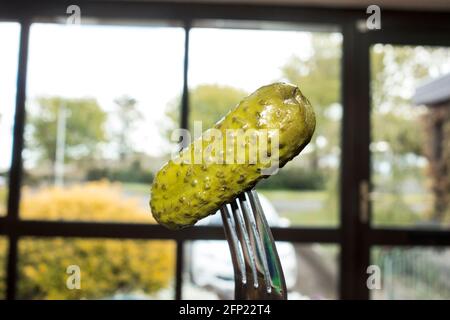 Eingelegte Gurke auf einer Gabel Stockfoto