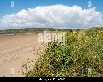 Wolkenwälze über Sand Bay, in der Nähe von Weston-super-Mare, in North Somerset. Stockfoto