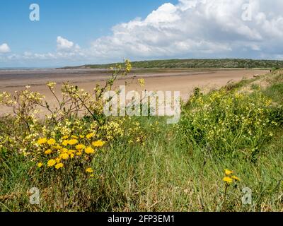 Wolkenwälze über Sand Bay, in der Nähe von Weston-super-Mare, in North Somerset. Stockfoto