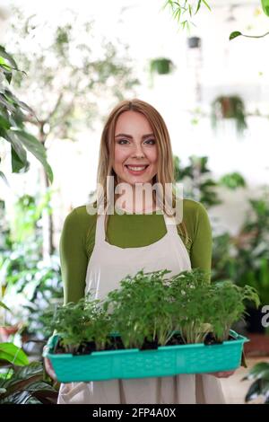 Fröhliche Frau auf der Schürze, die Tablett mit Tomatentöpfen trug Grüne Pflanzen im Garten und Blick auf die Kamera Stockfoto