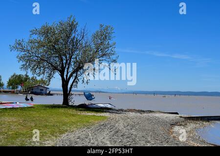 Podersdorf, Österreich - 09. Mai 2021: Unbekannte Menschen, Wassersport mit Kite- und Windsurfern im Seebad am Neusiedlersee, Burgenland Stockfoto