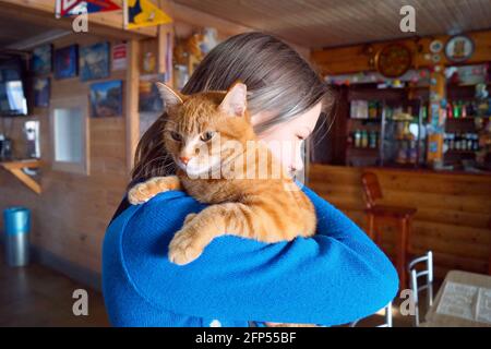 Eine rote Katze sitzt auf der Schulter eines Teenagers Mädchen Stockfoto