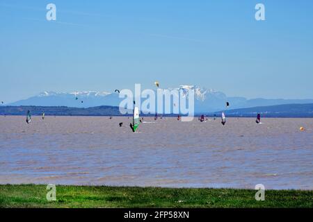 Podersdorf, Österreich - 09. Mai 2021: Unbekannte Menschen, Wassersport mit Kite- und Windsurfern im Seebad am Neusiedlersee, Burgenlan Stockfoto