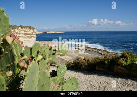 MARSAXLOKK, MALTA - 03 JAN, 2020: Traditionelle Salzfelder, Mittelmeer und kleiner Kalksteinhügel im Hintergrund in der Nähe von Peter's Pool Stockfoto