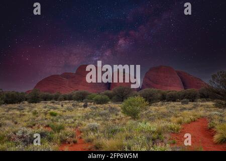 Nachtaufnahme rotes Zentrum Outback Australia Northern Territory mit Sternenhimmel Himmel über einsamen roten Felsen Formation mit Vordergrund überwuchert mit Typisch o Stockfoto