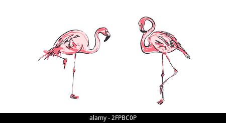 Skizzieren Sie ein Paar rosa Flamingos. Helle Cartoon tropischen Vogel Flamingo isoliert auf weißem Hintergrund. Trendiges Sommerdesign. Vektorgrafik Stock Vektor